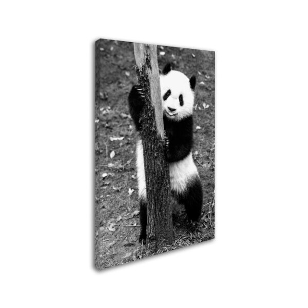 Philippe Hugonnard 'Panda III' Canvas Art,22x32